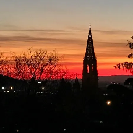 Ferienwohnung-freiburg-exklusiv דירה