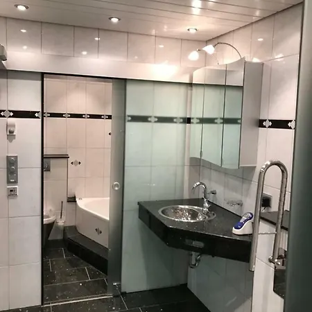 Apartment Ferienwohnung-freiburg-exklusiv