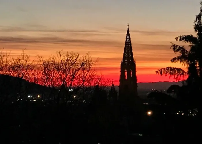 Ferienwohnung-freiburg-exklusiv Apartamento